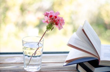 Kitaplar, içinde pembe bir sardunya çiçeği olan temiz su bulunan bir bardağın yanındaki tahta pencere eşiğinde okumaya hazırlar.