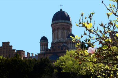 03 Mayıs 2015 - Chernivtsi bölgesindeki Yuriy Fedkovych Chernivtsi Ulusal Üniversitesi, Chernivtsi bölgesi
