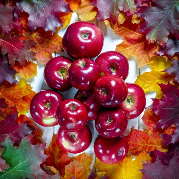Żółte liście klonu i czerwone soczyste jabłka leżą na białym tle drewna — Zdjęcie stockowe