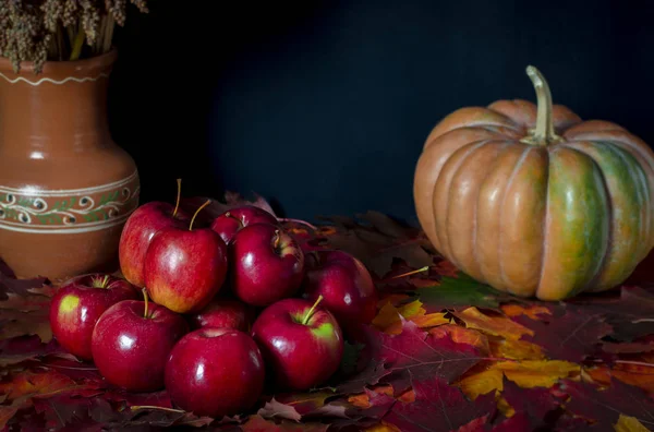 The autumn harvest of red juicy apples rests on the colorful autumn leaves next to the orange pumpkin — ストック写真