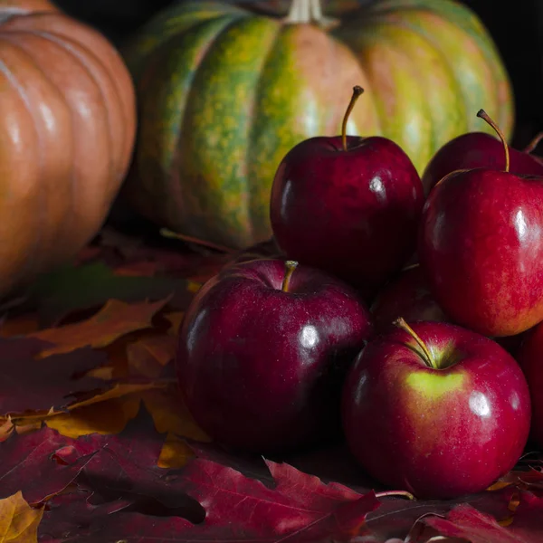 The autumn harvest of red juicy apples rests on the colorful autumn leaves next to the orange pumpkin — Stockfoto