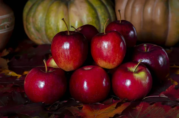 The autumn harvest of red juicy apples rests on the colorful autumn leaves next to the orange pumpkin — Stockfoto