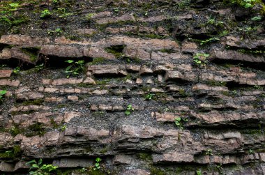 Yeşil bitkilerle kaplanmış renkli taşları olan taştan bir taş.