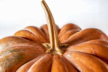 Beyaz arka planda uzun kuyruklu turuncu balkabağı.