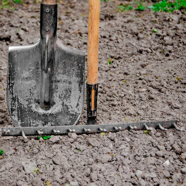 Инструменты для садоводства стоят в саду на плодородной земле — стоковое фото