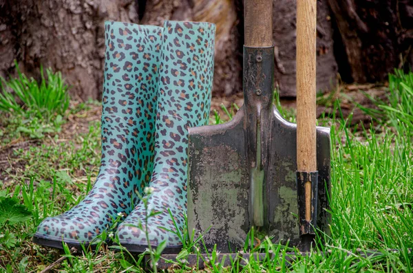 Ferramentas de jardim e sapatos de jardinagem estão no jardim — Fotografia de Stock