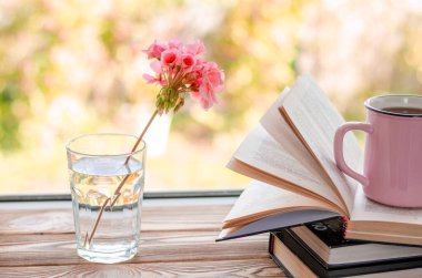 Pembe sardunya çiçeği açık kitapların yanında bir bardak temiz suyun içinde duruyor.