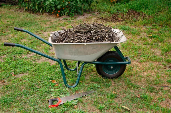 Garden work. Pruned branches of young trees lie in a wheelbarrow, which stands in the garden — Stock Photo, Image
