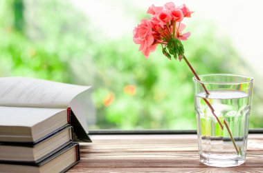 Kitaplar, içinde pembe bir sardunya çiçeği olan temiz su bulunan bir bardağın yanındaki tahta pencere eşiğinde okumaya hazırlar.