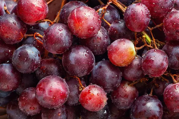 Фон Свіжо Підібраного Винограду — стокове фото