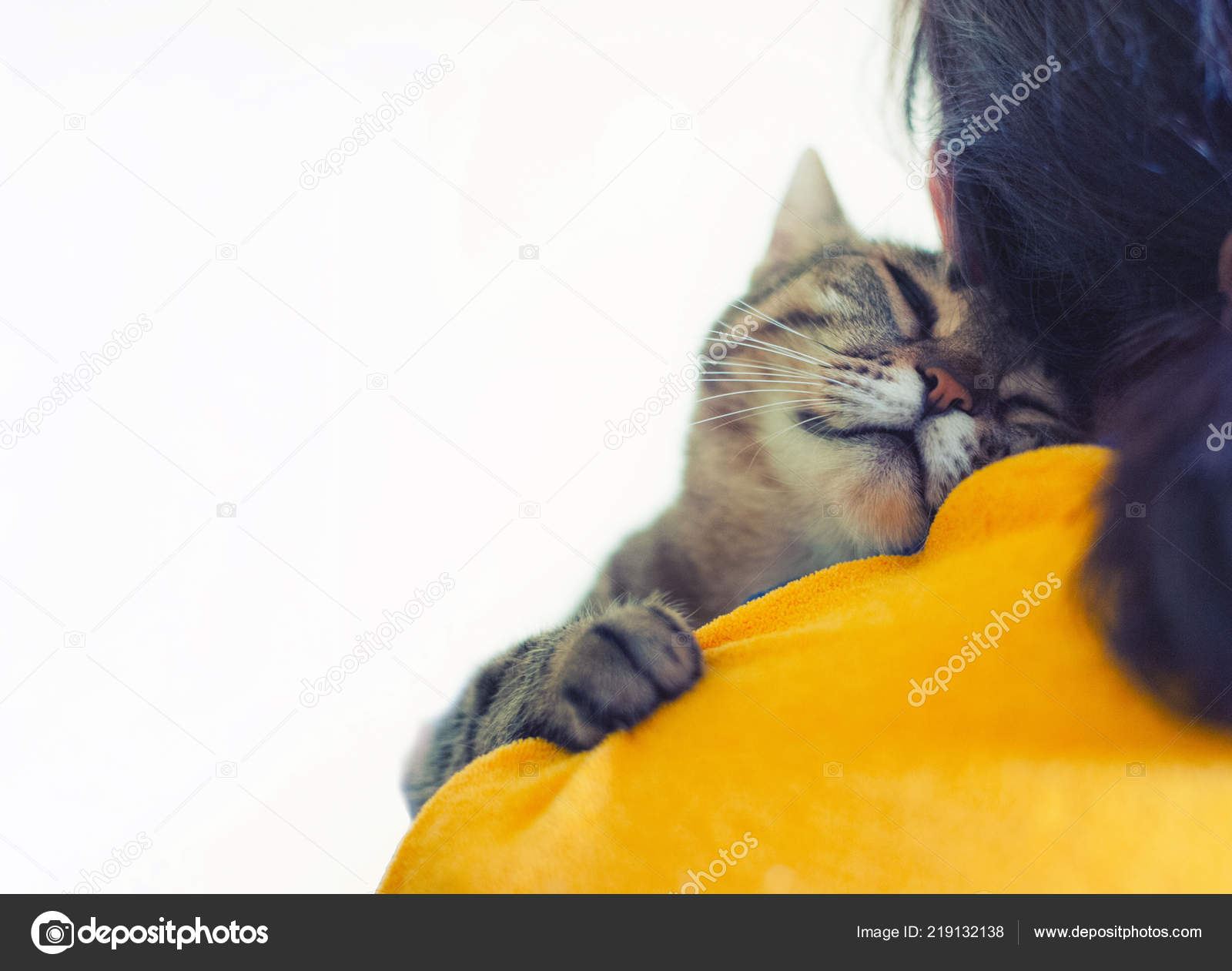 Kucing Lucu Tidur Bahu — Stok Foto © BigNazik #219132138