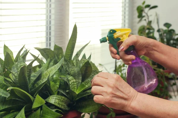 sulama tesisleri pencere üzerinde el