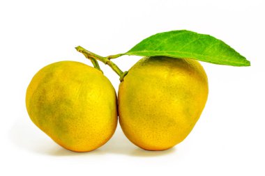 Beyaz arkaplanda yeşil yapraklı mandalina.