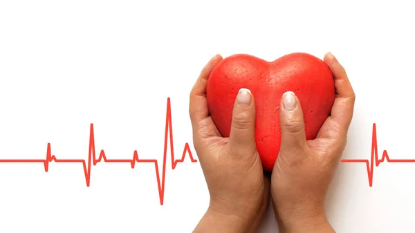 health, medicine, people and cardiology concept - close up of hand with cardiogram on small red heart.