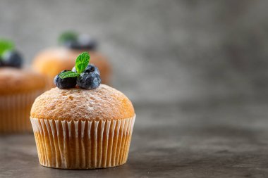 Blueberry muffins gri arka plan üzerinde. Yan görünümü. Kopya alanı ile.