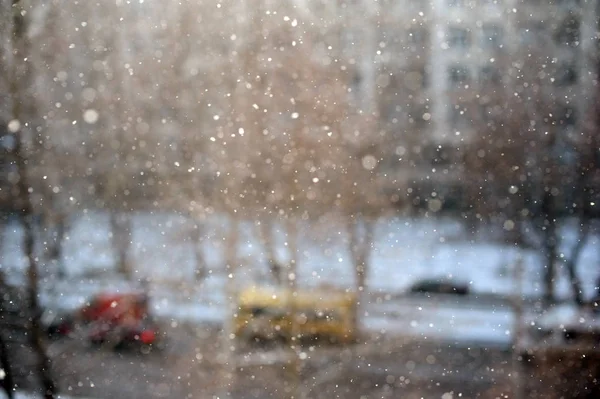 城里大雪纷飞 — 图库照片