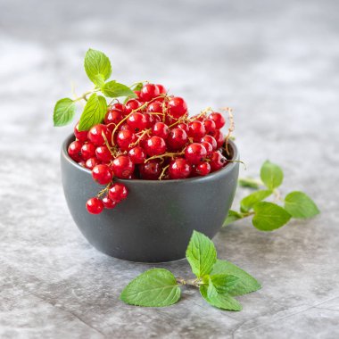 Gri arka planda koyu kapta taze kırmızı kuş üzümü