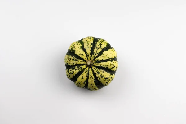 Una calabaza decorativa de color amarillo-verde sobre un fondo blanco . — Foto de Stock