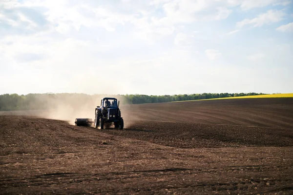 Agricultural work on field with black soil. Blue tractor riding and seeding countryside. Rural works in spring. Environmental protection concept. Ecological products cultivation. Natural background.