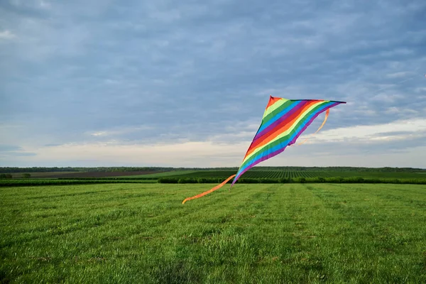 Kleurrijke Levendige Regenboog Vlieger Vliegen Groene Veld Weide Blauwe Bewolkte — Stockfoto