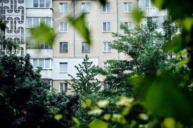 Daire penceresinden yoğun yağmur manzarası. Fırtına sırasında su damlalarıyla kaplı yeşil üzüm yaprakları ve dallarının yakın plan fotoğrafı. Yaz yağmurları.