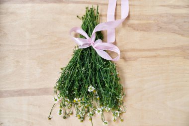 Ahşap masa üzerinde pembe kurdeleyle bağlanmış yeşil saplı küçük beyaz papatya çiçekleri. Vahşi çiçeklerin doğal arka plan resmi. Şiirler, mektuplar, romantik notlar için ekolojik doku.