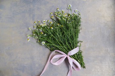 Gri ahşap arka planda pembe kurdeleli yeşil saplı küçük beyaz papatya buketi. Vahşi çiçeklerin doğal bir resmi. Şiirler, mektuplar, romantik notlar için ekolojik doku.