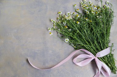 Gri ahşap arka planda pembe kurdeleli yeşil saplı küçük beyaz papatya buketi. Vahşi çiçeklerin doğal bir resmi. Şiirler, mektuplar, romantik notlar için ekolojik doku.