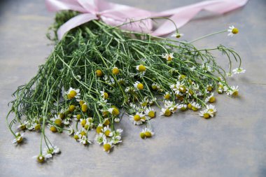 Gri masadaki pembe kurdeleyle bağlanmış küçük beyaz papatya çiçeğinin yakın plan resmi. Vahşi çiçeklerin doğal arka plan resmi. Şiirler, mektuplar, romantik notlar için ekolojik doku.