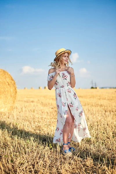 Sarışın, uzun, romantik bir elbise ve hasır şapka giyen, elinde kurutulmuş çim buketi tutan yazın tarlada buğday balyasının önünde poz veren genç bir kadın. Doğal arka planda kadın portresi.