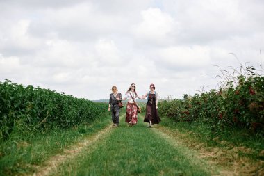 Üç genç hippi kadın, boho tarzı kıyafetler giyiyorlar, koşuyorlar, yazın yeşil frenk üzümü tarlasında el ele tutuşuyorlar. Eko turizm konsepti. Kırsal kesimde seyahat eden arkadaşlar.