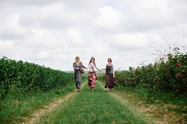 Üç genç hippi kadın, boho tarzı kıyafetler giyiyorlar, koşuyorlar, yazın yeşil frenk üzümü tarlasında el ele tutuşuyorlar. Eko turizm konsepti. Kırsal kesimde seyahat eden arkadaşlar.