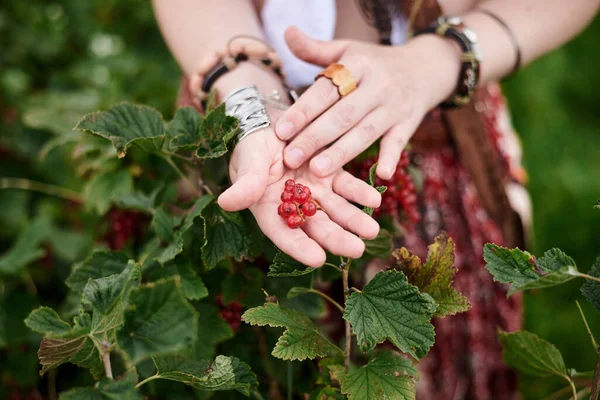 Giovane Donna Hippie Indossa Vestiti Stile Boho Raccogliendo Bacche Ribes — Foto Stock