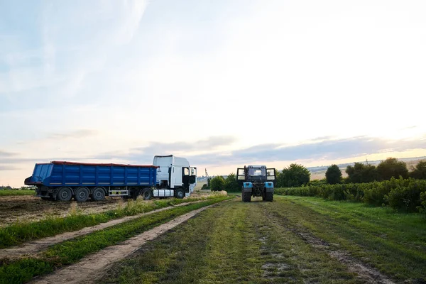 Kırsal kesimde frenk üzümü üretimi. Güzel yeşil alanda tarım makineleri var. Yerel tarım gelişimi. Ekolojik koruma kavramı. Köyde çalışan iki kamyon..