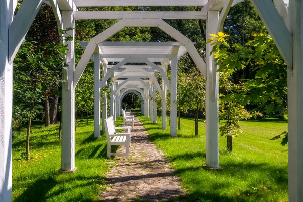 Beyaz Banklar Parkta Çevrili Yeşil Ağaçlar Güneş Işığı Taş Yolu — Stok fotoğraf