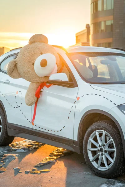 Teddy bear in the car isolated, gift, Valentines day present for the loving couple