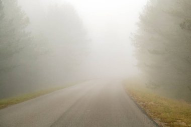 Sis içinde kırsal yolda araba sürüyorum. Kötü hava koşullarında araba sürmenin tehlikeleri: sisli, ilerisini görmek zor