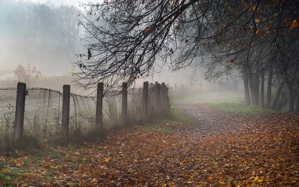 Sentier Sinueux Dans Parc Tôt Matin Automne Brumeux Ancienne Clôture — Photo