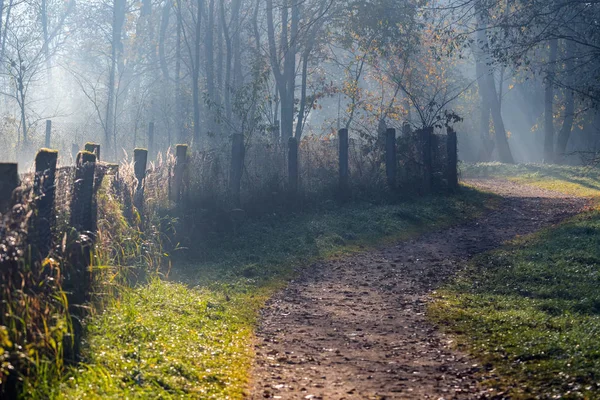 Туманная Дорожка Парке Ранним Туманным Осенним Утром Старый Забор Осенние — стоковое фото