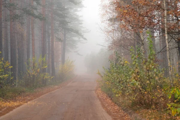 Conduire Sur Route Campagne Dans Brouillard Illustration Des Dangers Conduite — Photo