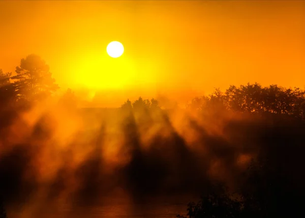 Sun Shinning Fog Sunrise Light Rays Morning Landscape Nature — Stock Photo, Image