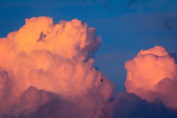 Magical Evening Clouds Lit Sun Golden Hour Cloudscape Horizon — Stock Photo, Image