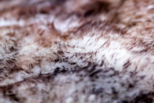 Gros Plan Fourrure Animal Fond Texture Animale Mode Industrie Textile — Photo