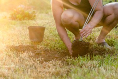 Bir ağaç dikme. Adam yerdeki bir deliğe yaz aylarında, dışarıda bahçede kazma. Çevre ve ekoloji