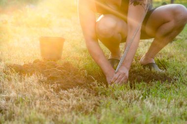 Bir ağaç dikme. Yaz aylarında, dışarıda bahçede bir ağaç dikme adam. Çevre ve ekoloji