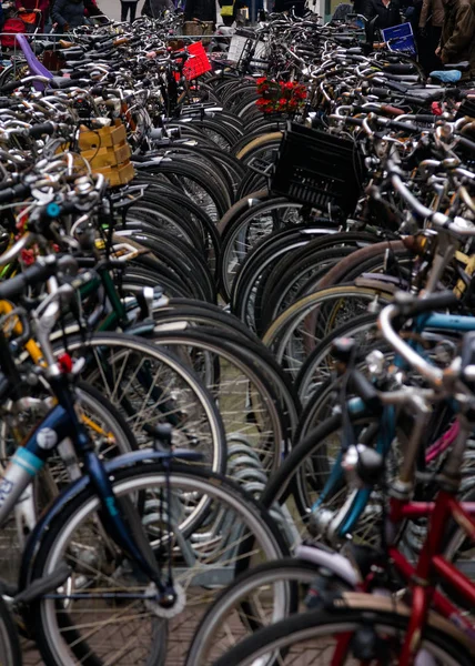 Bicycles parked in busy street of Amsterdam