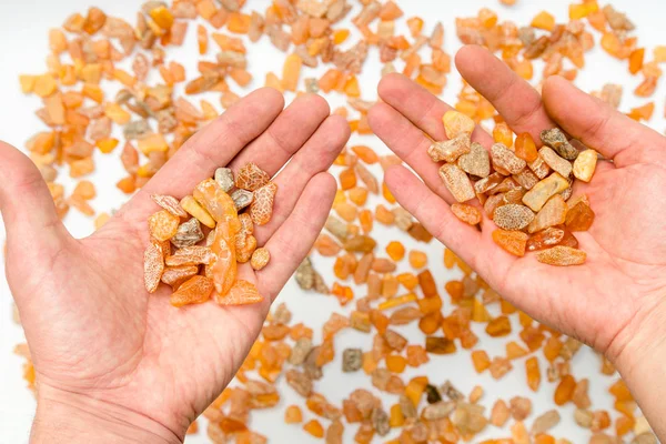 Man holding amber stones in hands from Baltic sea. Multicolored background for advertising and banners. Vintage fossilized resin as a background. Yellow amber texture close up. Stone with inclusions