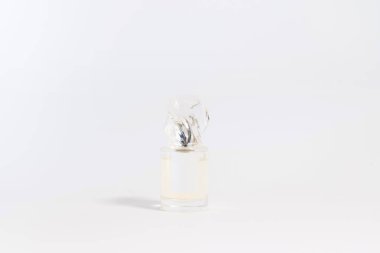 Beyaz arka plan üzerinde lüks cam parfüm şişesi. Kopya alanı için metin, boş şişe