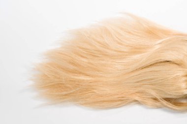 Beyaz arka plan üzerinde izole sarışın doğal saç uzatma. Kırpma yama, kopya alanı
