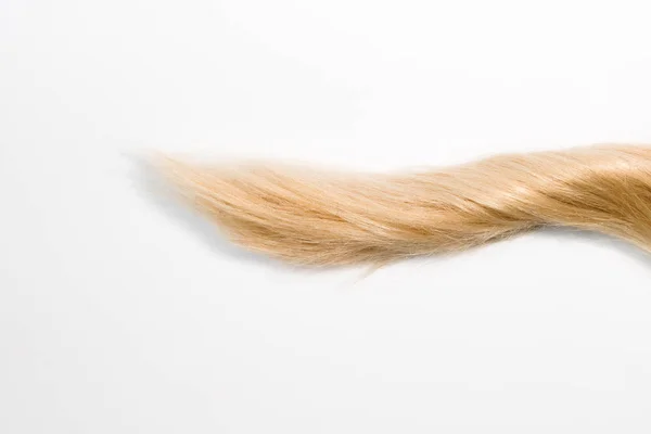 Blond Extensions Cheveux Naturels Isolés Sur Fond Blanc Clipping Patch — Photo